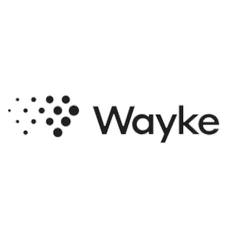 Wayke Logo