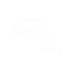 Dolphins-NRL
