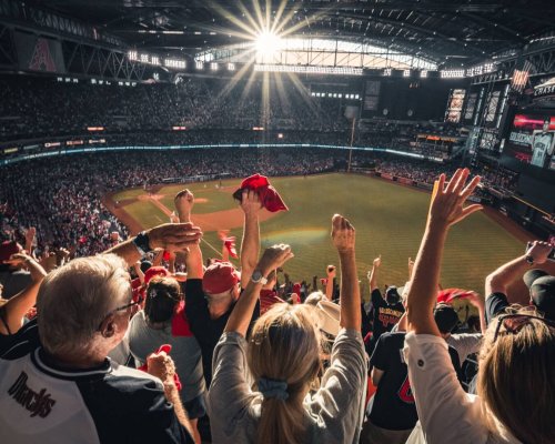 Fans cheering at a baseball game